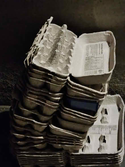 Photo of free Egg cartons (Wellington Village) #1