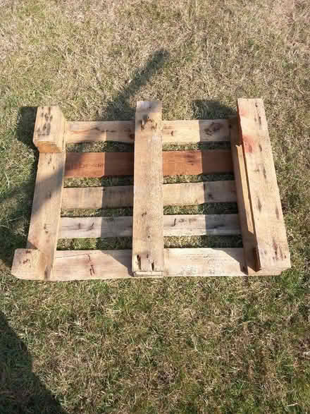 Photo of free Small wooden pallet (Odd Down) #2