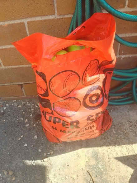 Photo of free cooking apples (Harrogate. HG1.) #1