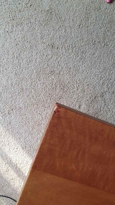 Photo of free Hardwood coffee table 140cm (Parson's Heath CO4) #3
