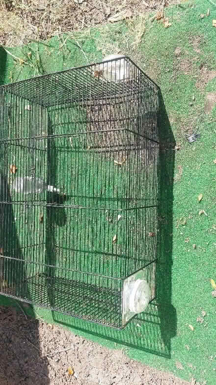 Photo of free Small pet cage with water bottle (Hertford Heath SG13) #2