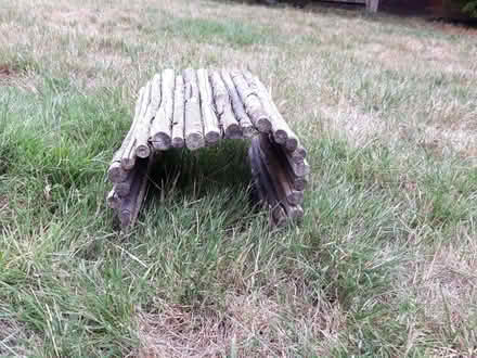 Photo of free Guinea pig hidey (Harwell OX11) #1