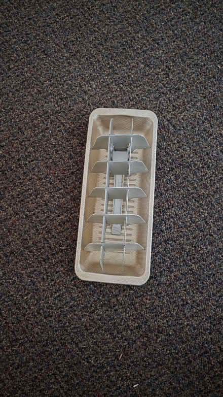 Photo of free 1960s ice cube tray (Prospect park south) #1