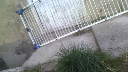 Photo of free Vileda Tower airer (BA2) #4