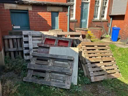 Photo of free Wooden pallets (Heeley S8) #1