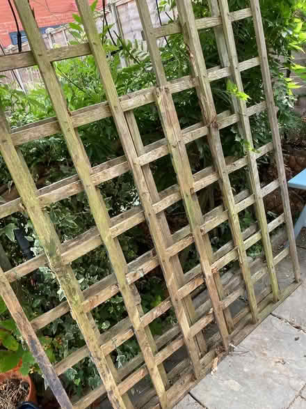 Photo of free Garden trellis panels and posts (Central Kenilworth) #2
