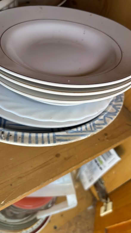 Photo of free Dinner plates (Southey Green S5) #1