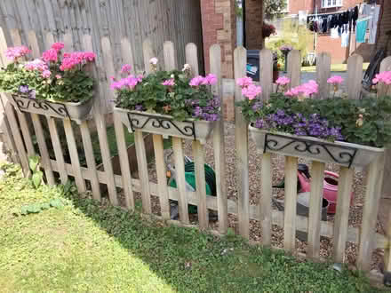 Photo of free Fence Planters (Tonbridge TN9) #1