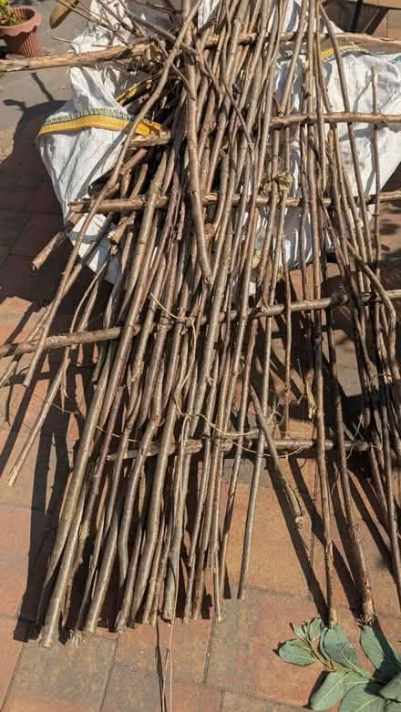 Photo of free Wood (RG24 Old Basing) #1
