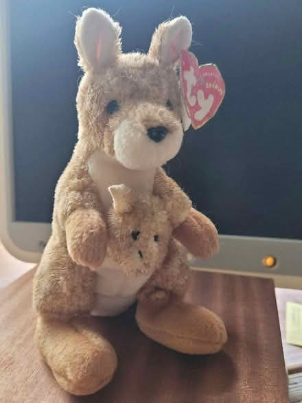 Photo of free Ty beanie toy (Shenley Fields B29) #1