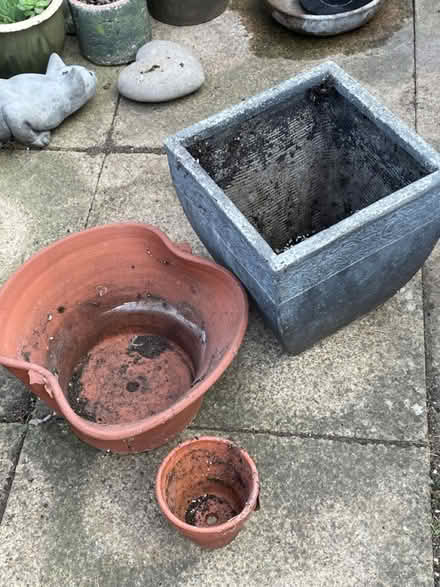 Photo of free 3 x concrete / terracotta planters (Clapham, Bedford) #1