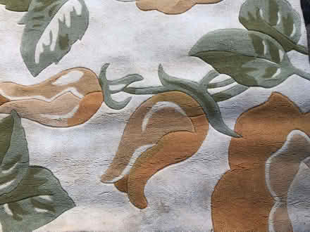 Photo of free Thick Floral Rug: 70" x 46" approx (Withnell PR6) #1