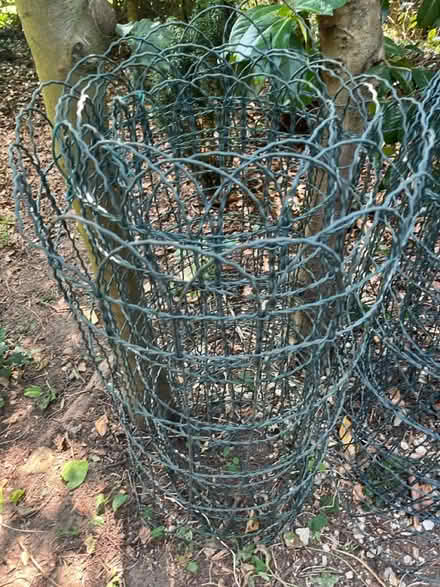 Photo of free Rolls of green metal garden fence (Henley-on-Thames RG9) #2