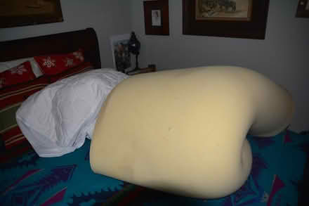 Photo of free queen sizememory foam & cover (East Petaluma) #1