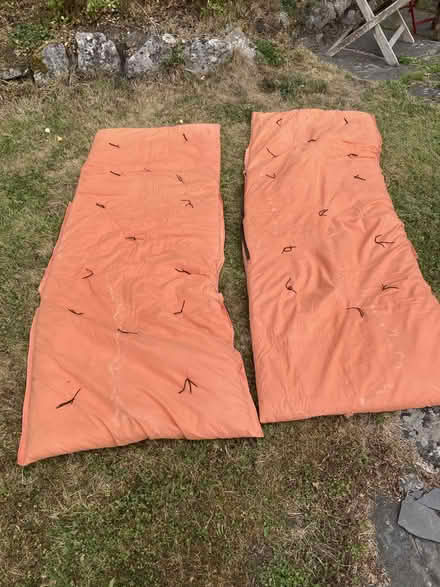 Photo of free 2 futon mats (Old Radnor LD8) #1