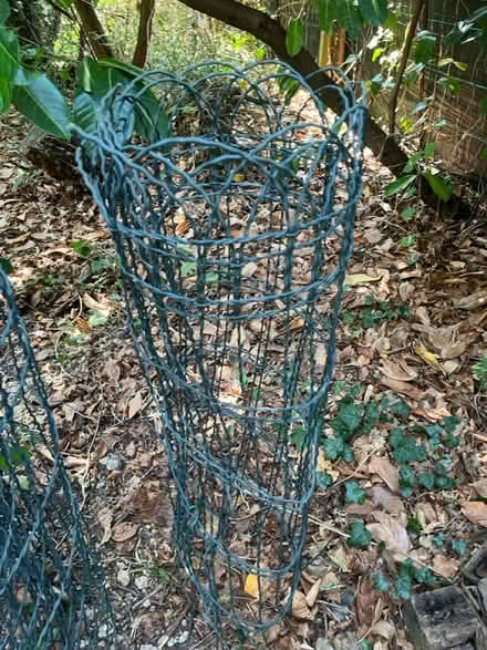 Photo of free Rolls of green metal garden fence (Henley-on-Thames RG9) #4