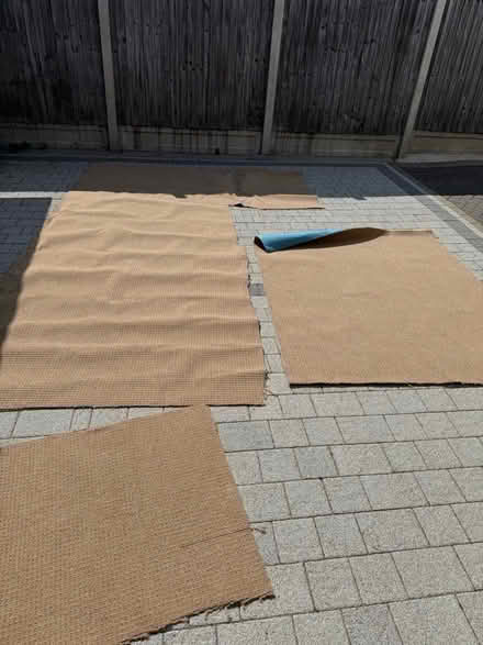 Photo of free New carpet offcuts (Welling DA16) #1
