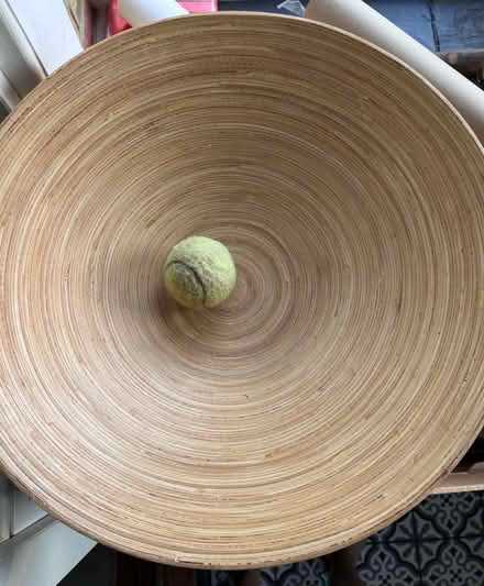 Photo of free Large bowl (TW12 - Hampton Hill) #3