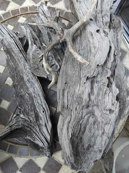 Photo of free Wood from fish tank (Newtown CH1) #1