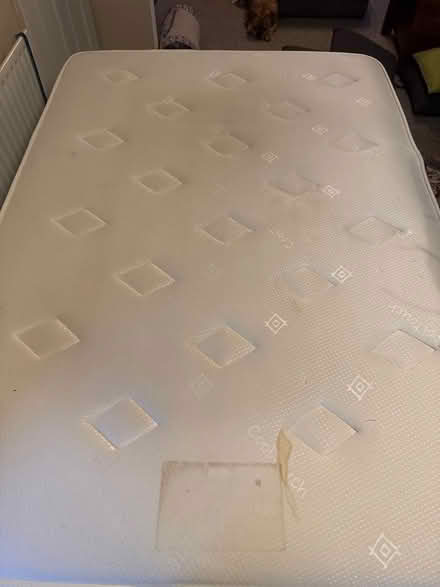 Photo of free Spring double mattress (Home S71) #1