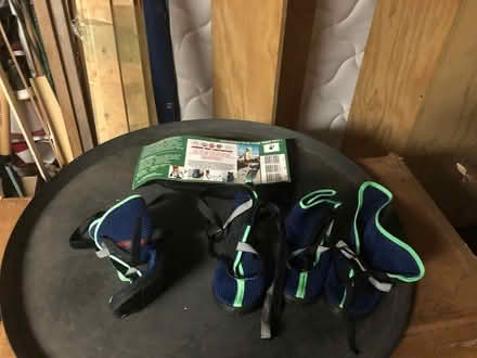 Photo of free Dog Backpack and Boots (East Watertown) #3
