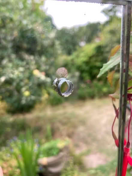 Photo of free A long mirror (Westbury on Trym BS9) #2