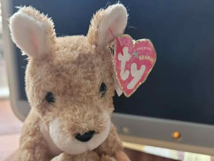 Photo of free Ty beanie toy (Shenley Fields B29) #2