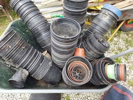 Photo of free Plant pots - 2 litre and others (Fairlight TN35) #1