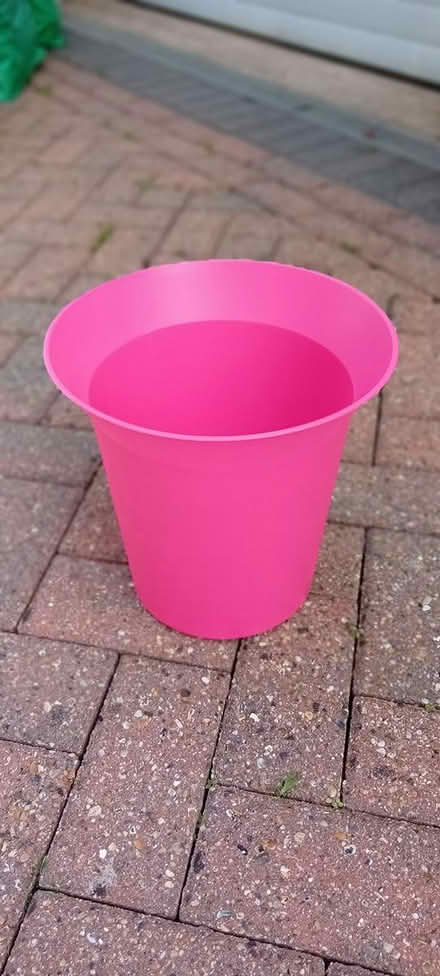 Photo of free Pink waste paper bin (Wokingham, RG41) #1