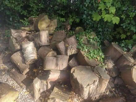 Photo of free Wood (Sollom L40) #1