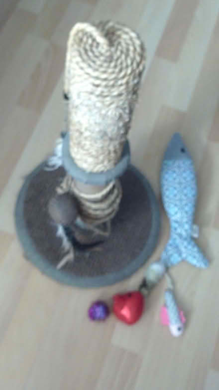 Photo of free Used cat scratching post (SW15 Roehampton) #1