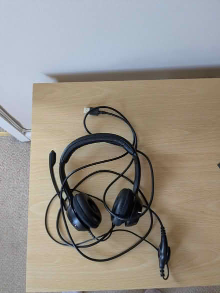 Photo of free Headset earphones and microphone (Portishead (BS20)) #1