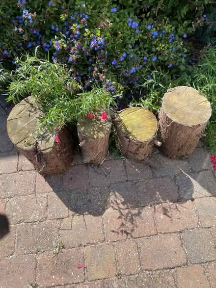 Photo of free 4 logs (Leigh on sea SS9) #1