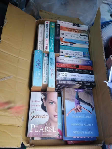 Photo of free Reading books over 20 (Mannings Heath. Horsham) #1