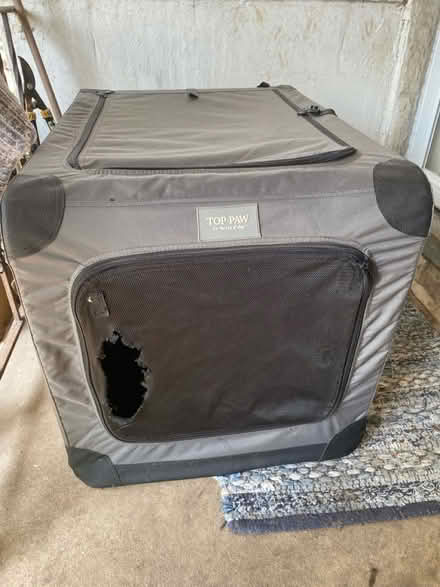 Photo of free Dog crate (Glenolden 19036) #1