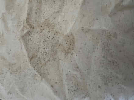 Photo of free Canvas storage bags see photo (West Horsham) #3