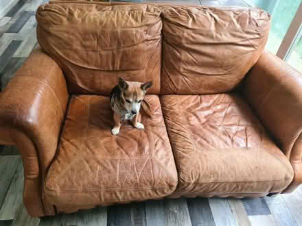 Photo of free Small sofa (St Leonards. TN39) #1
