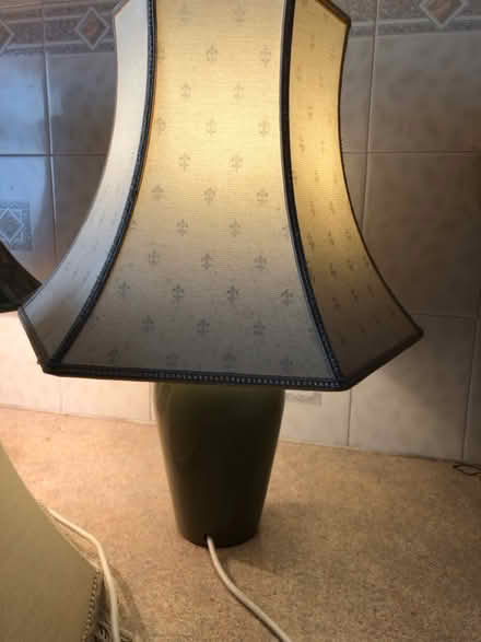 Photo of free Lamps and lampshades (Burscough L40) #4