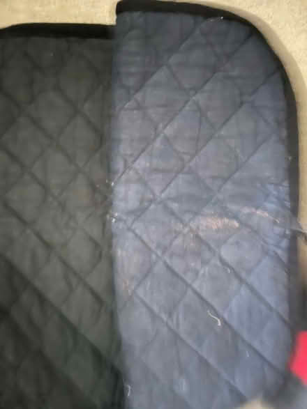 Photo of free Horse bandage leg pads (Halifax, HX1) #2