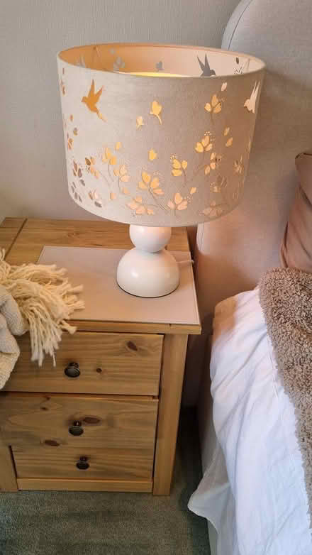 Photo of free Ceiling light shades (Dunkeswell nr Honiton) #3