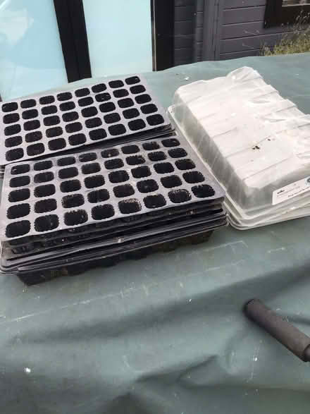 Photo of free Quanity of propagation trays (Spalding PE11) #1
