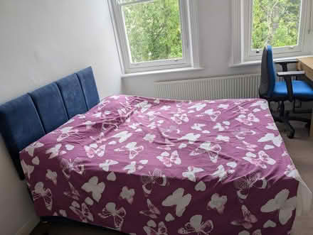 Photo of free Like-new bed and mattress (Kilburn NW6) #1