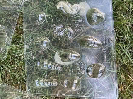 Photo of free Soap making kit (Vashon - North End) #2