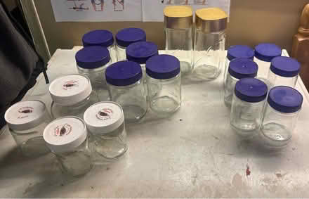Photo of free Empty glass jars with lids (Chatham) #1