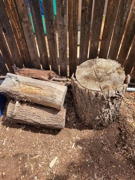 Photo of free Fire wood (Gov Miles & Camino Carlos Rey) #3