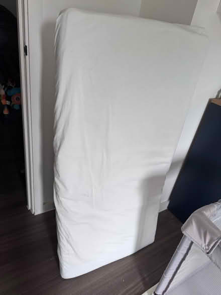 Photo of free Foam mattress for cot (Highbury Park N5) #1