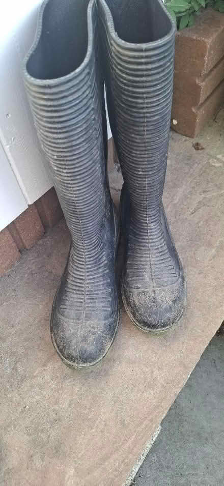 Photo of free Wellington boots (High Brooms TN4) #1