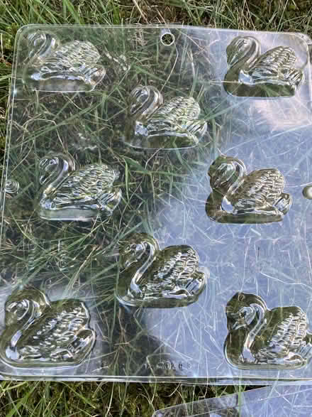 Photo of free Soap making kit (Vashon - North End) #4