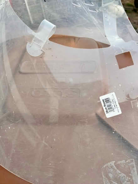 Photo of free 25cm clear pet collar (Panshanger AL7) #1
