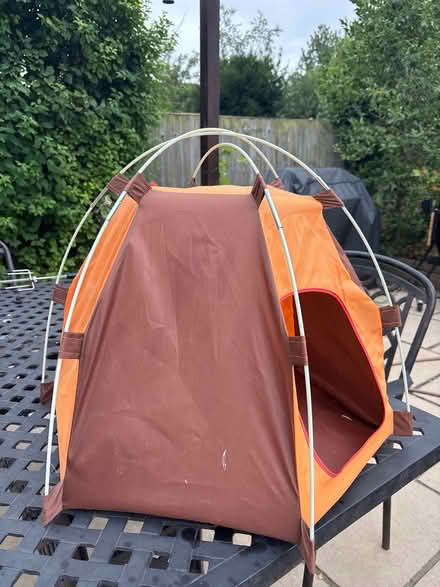 Photo of free CAT/Small dog tent (Ware SG12 0) #2
